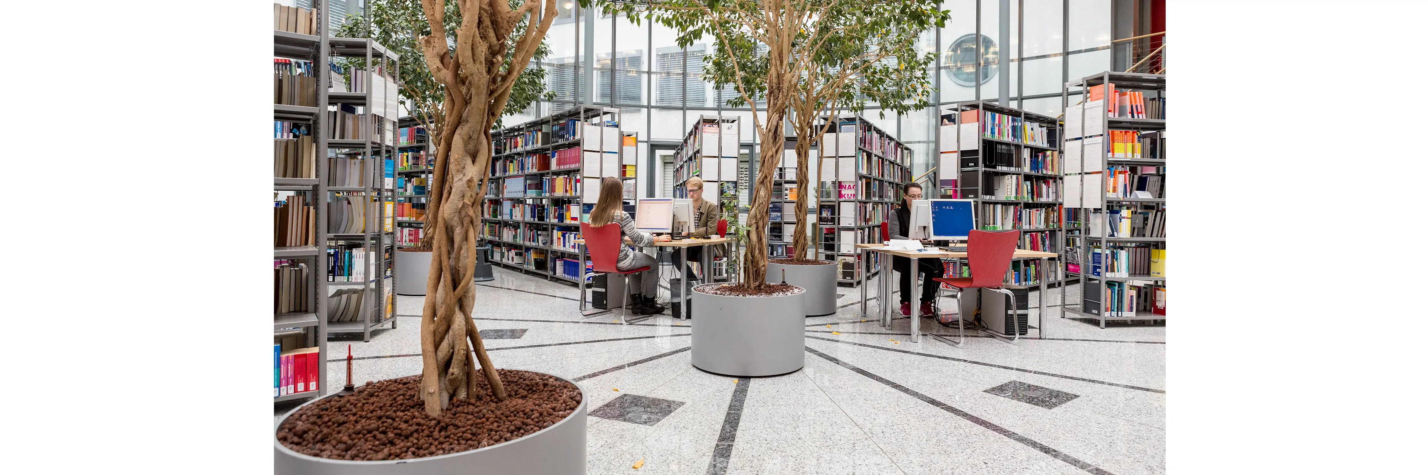 Raum in einer Bibliothek mit Regalen und Nutzer:innen Raum in einer Bibliothek mit Regalen und Nutzer:innen